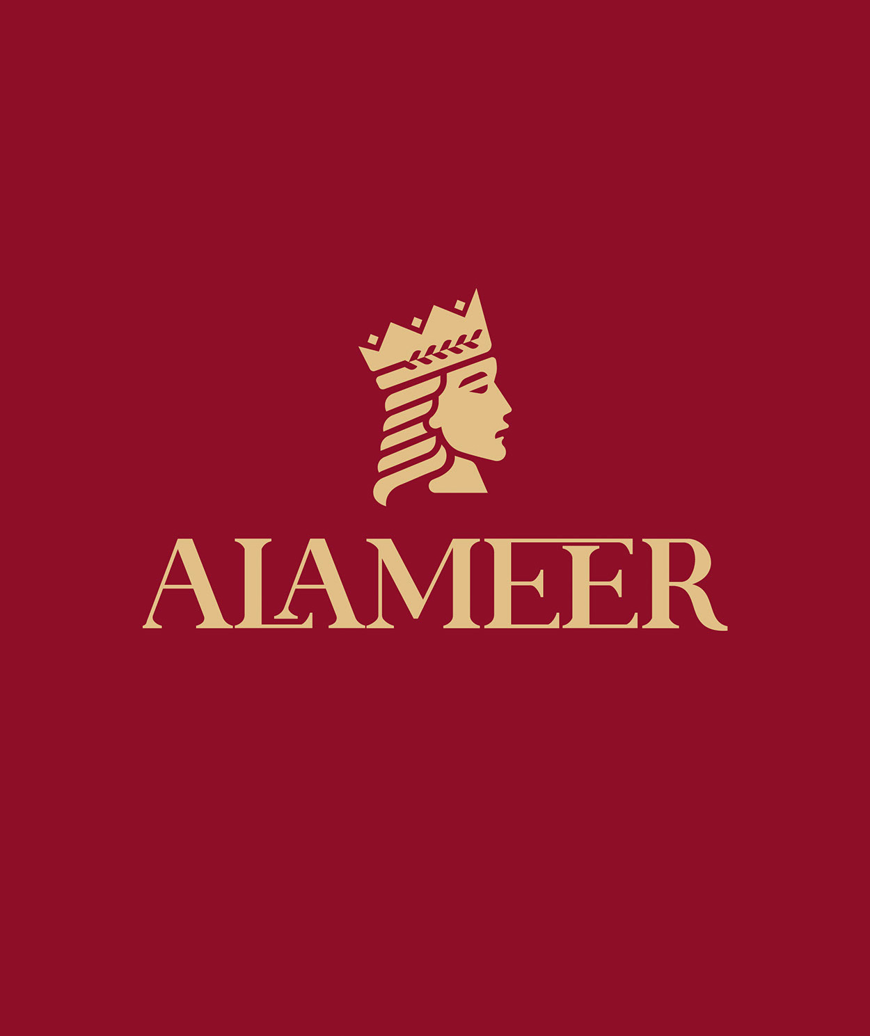 Alameer · Brand Identity · BH - eje