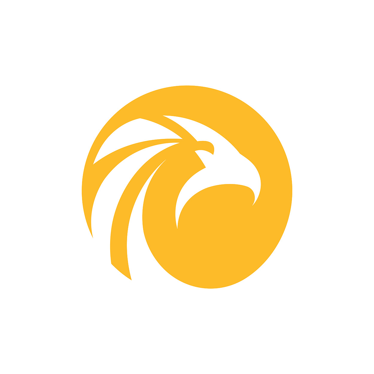 Sharjah News · Brand Identity · UAE - eje