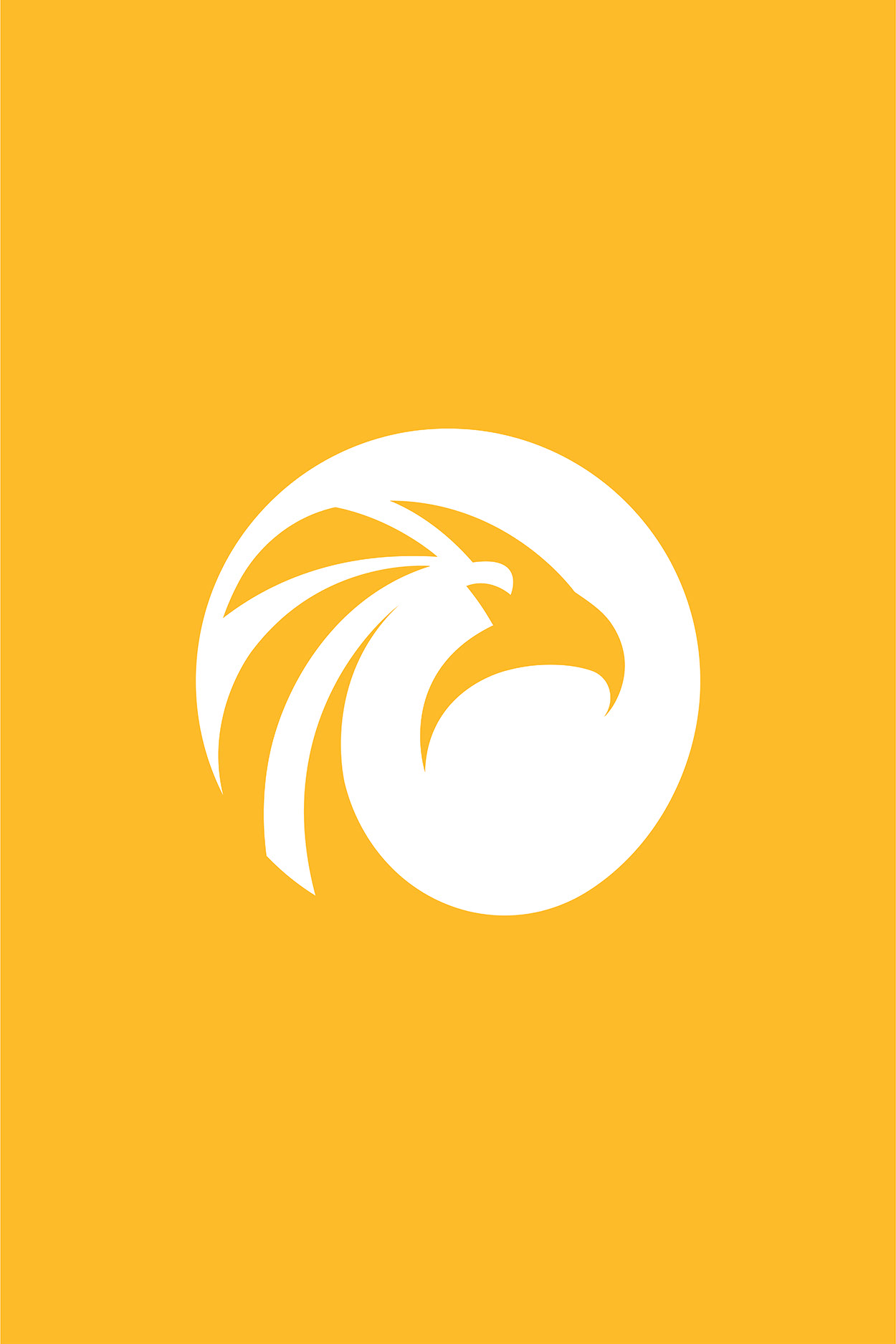 Sharjah News · Brand Identity · UAE - eje