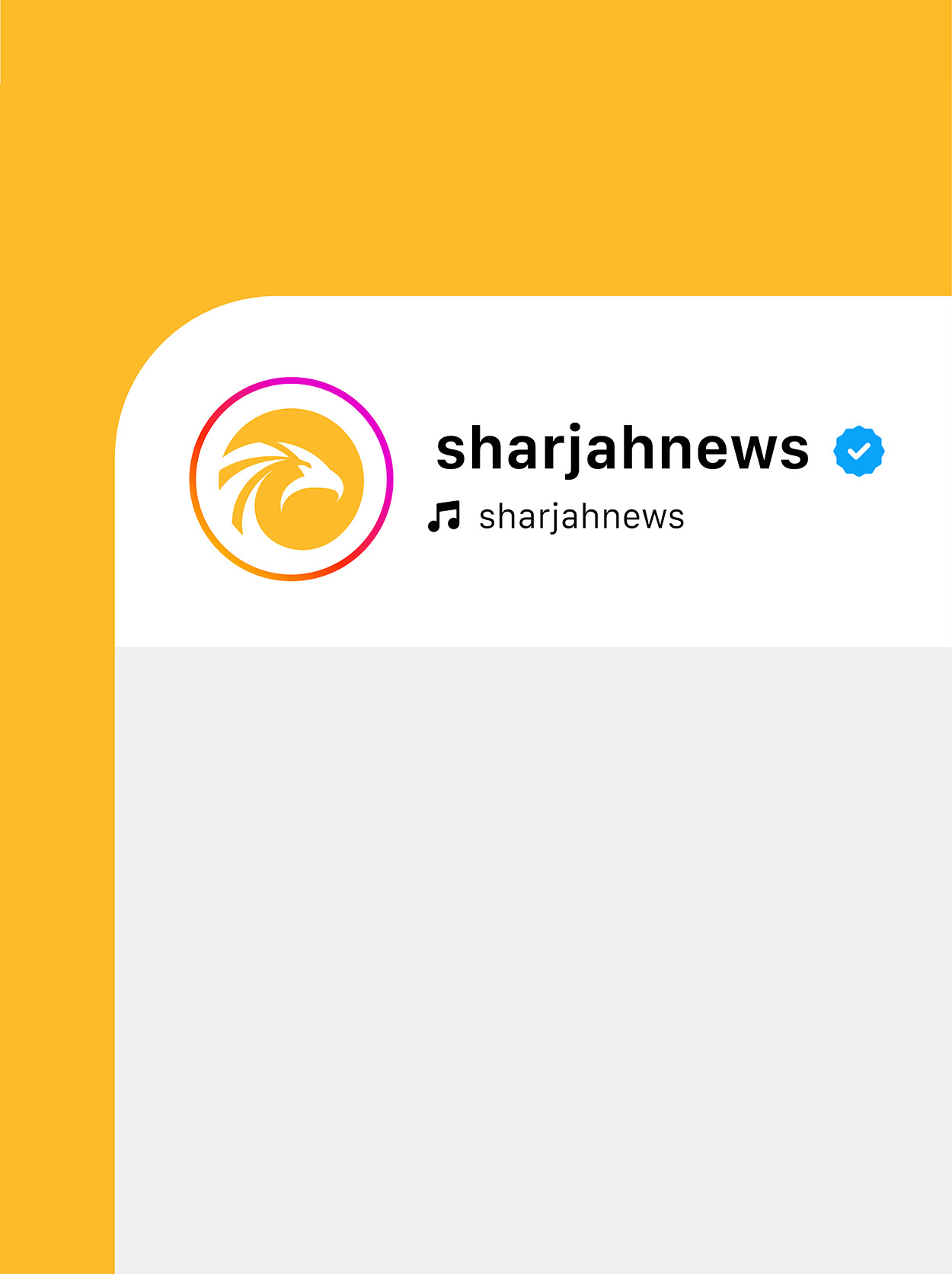 Sharjah News · Brand Identity · UAE - eje
