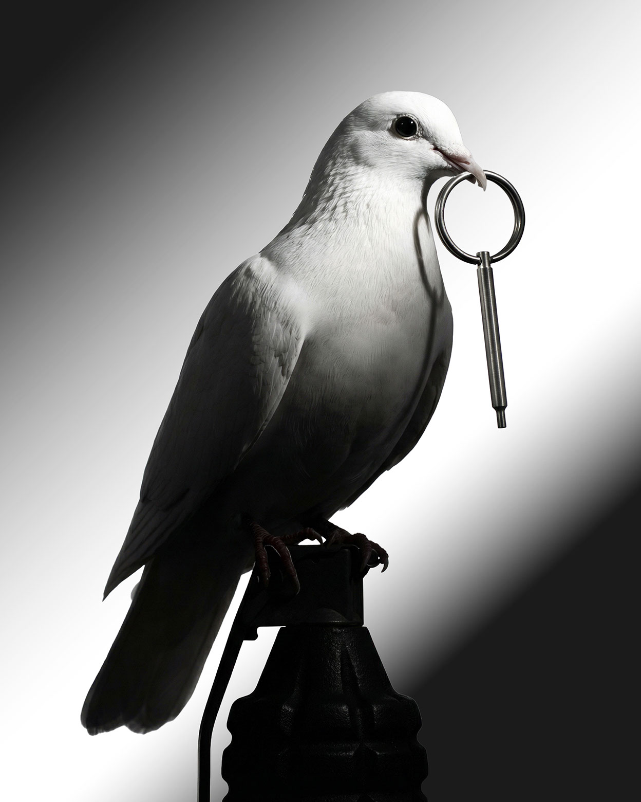 THE SUICIDE OF PEACE · Ai - eje