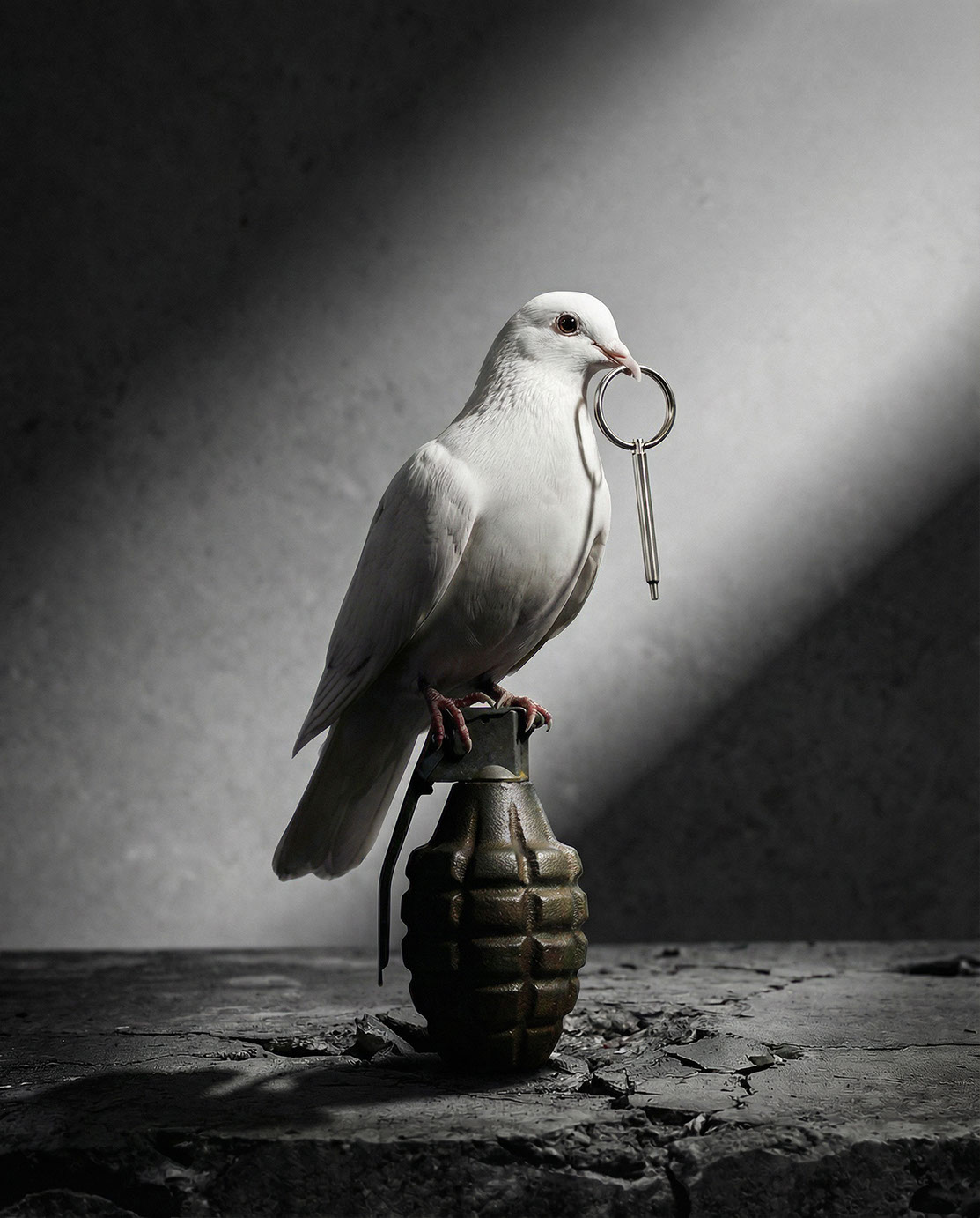 THE SUICIDE OF PEACE · Ai - eje